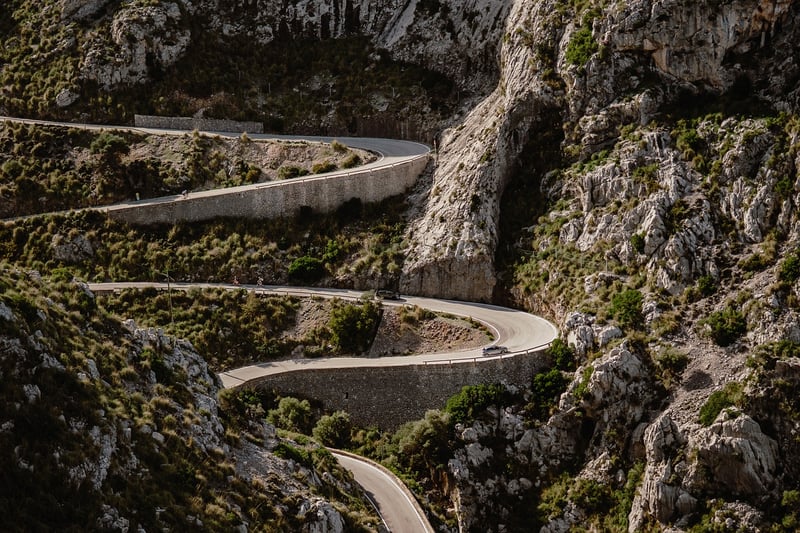 Career Roadmap